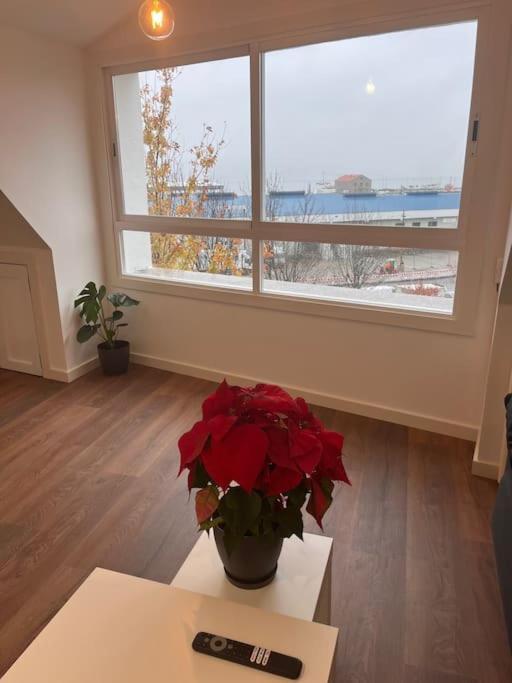 Atico Cork Daire Vigo Dış mekan fotoğraf